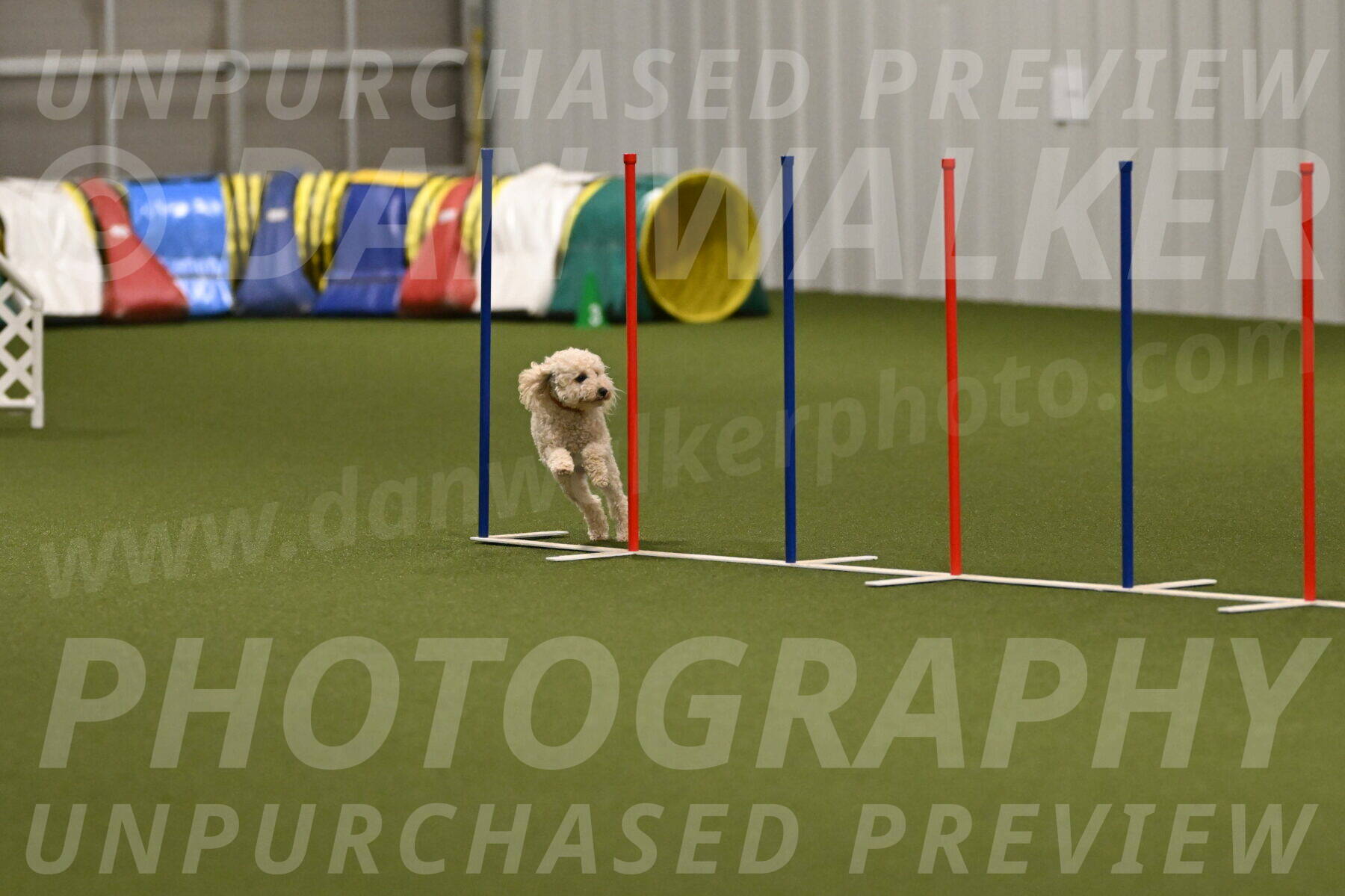 Charlie-Barbara-Thomas-05975