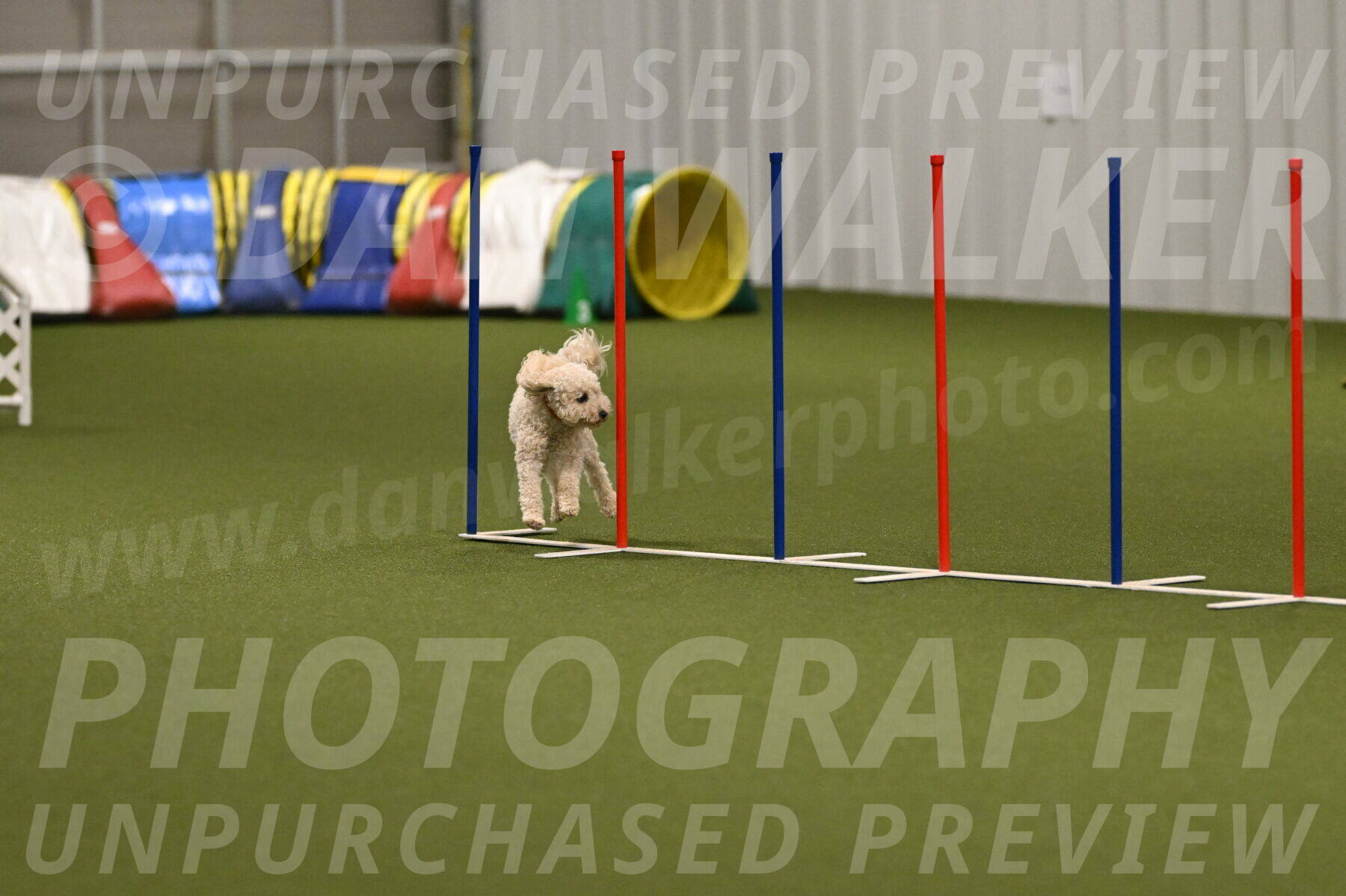 Charlie-Barbara-Thomas-05976