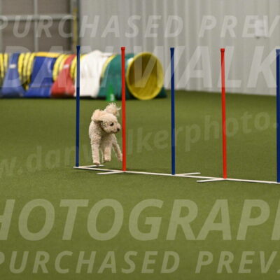 Charlie-Barbara-Thomas-05976