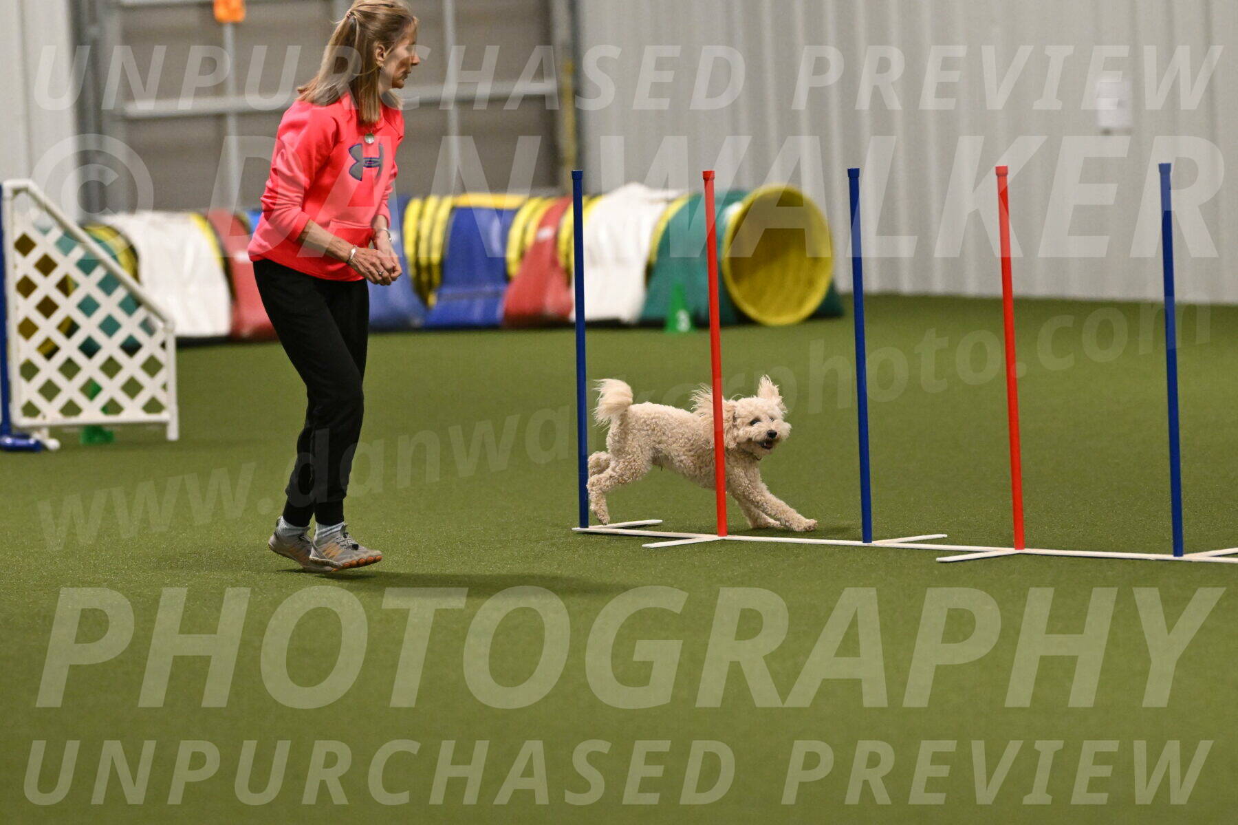 Charlie-Barbara-Thomas-05977