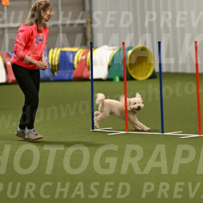 Charlie-Barbara-Thomas-05977