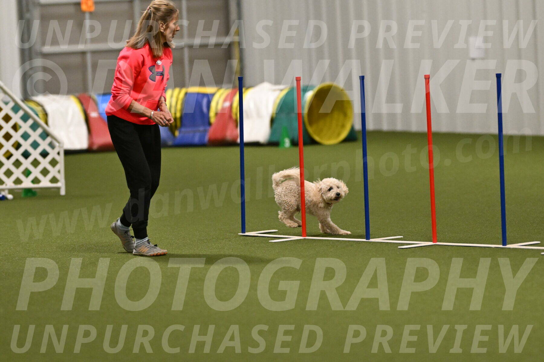 Charlie-Barbara-Thomas-05978