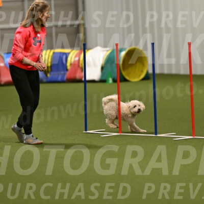 Charlie-Barbara-Thomas-05978