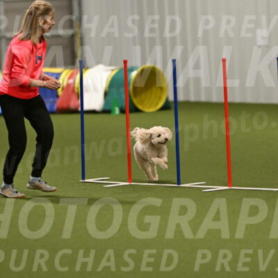 Charlie-Barbara-Thomas-05979