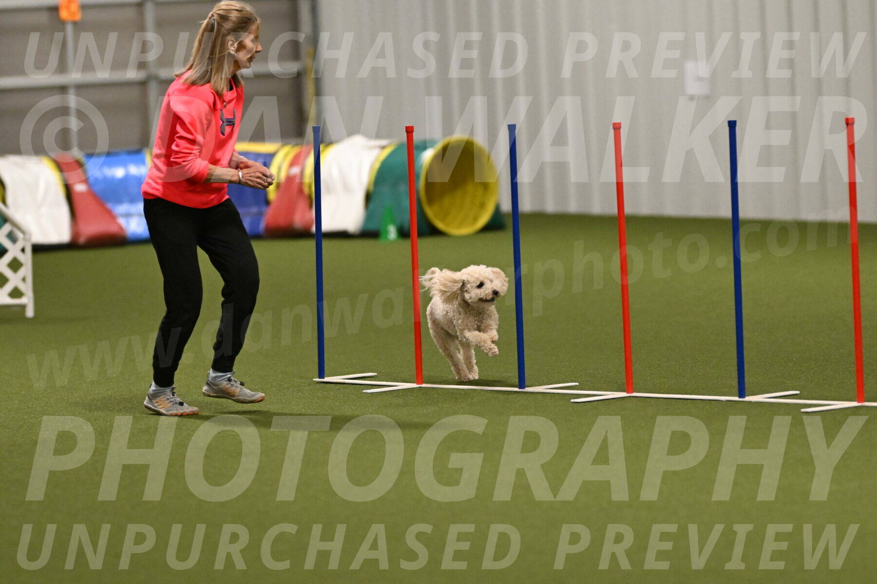 Charlie-Barbara-Thomas-05979