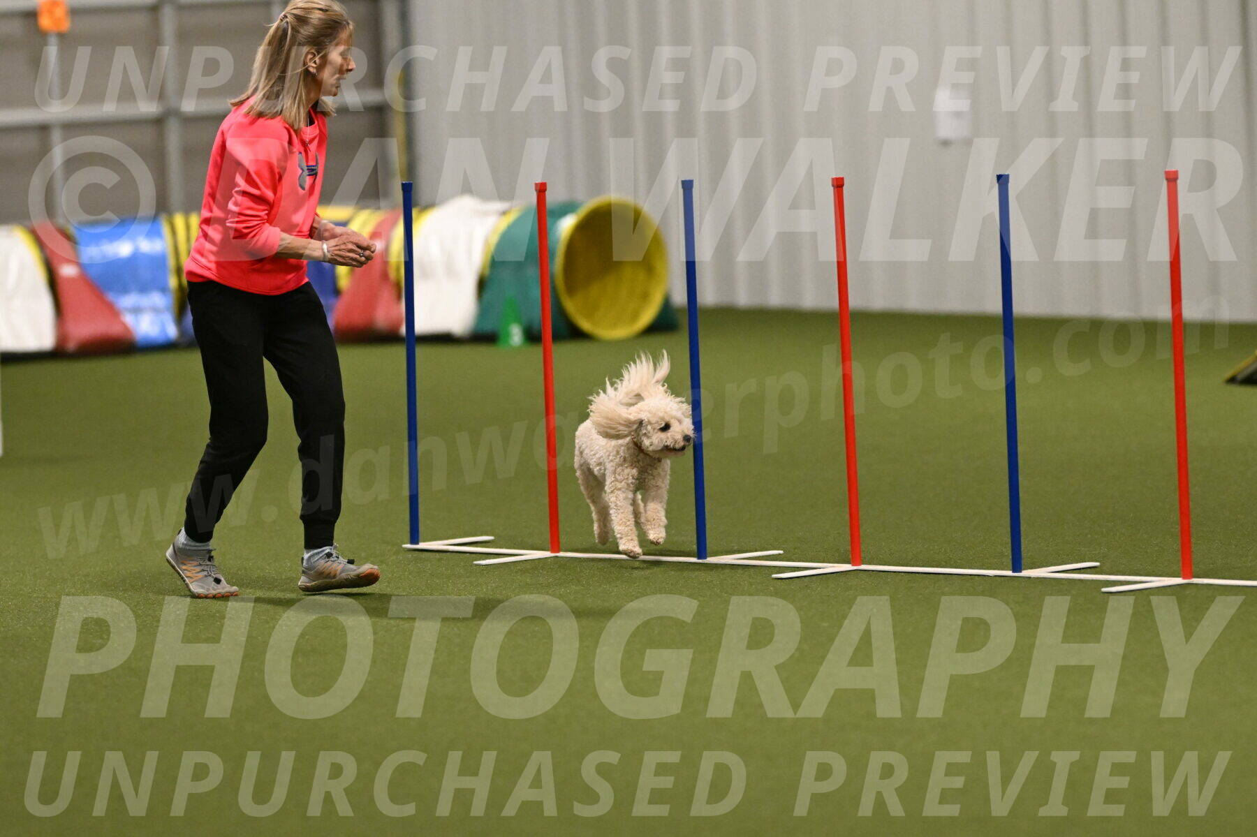 Charlie-Barbara-Thomas-05980