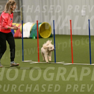 Charlie-Barbara-Thomas-05980