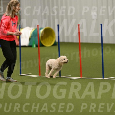 Charlie-Barbara-Thomas-05981