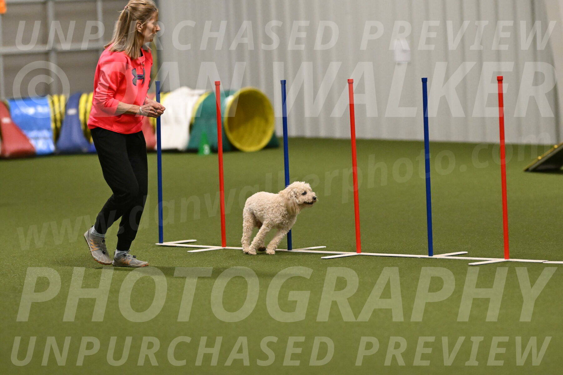 Charlie-Barbara-Thomas-05981