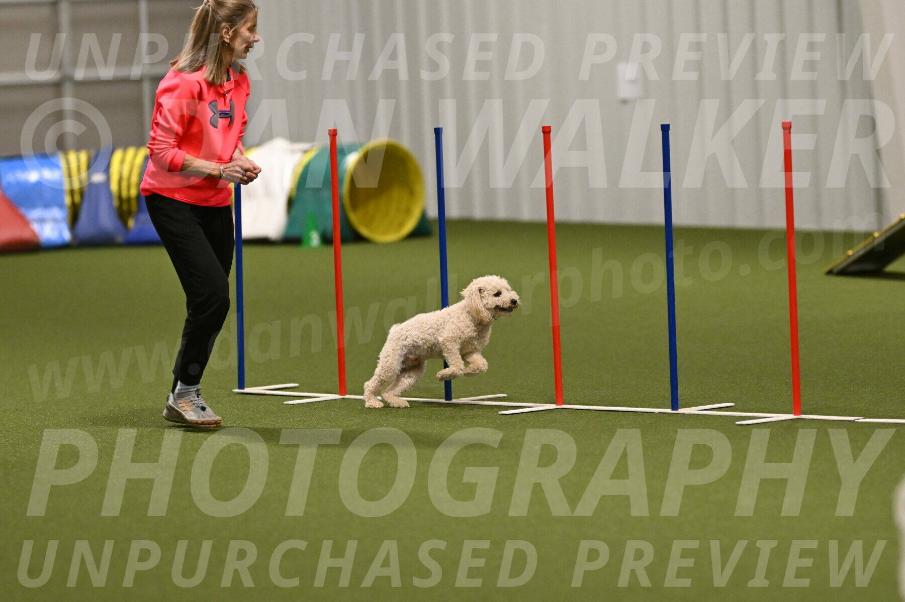 Charlie-Barbara-Thomas-05982