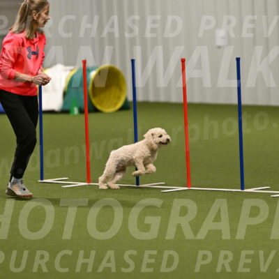 Charlie-Barbara-Thomas-05982