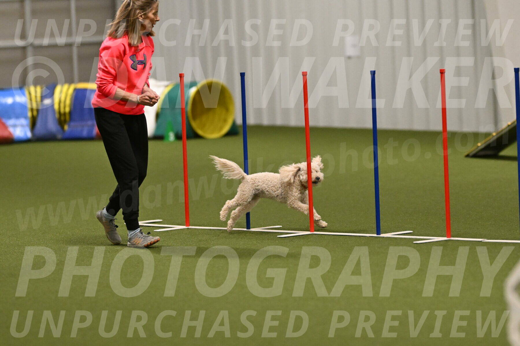 Charlie-Barbara-Thomas-05983