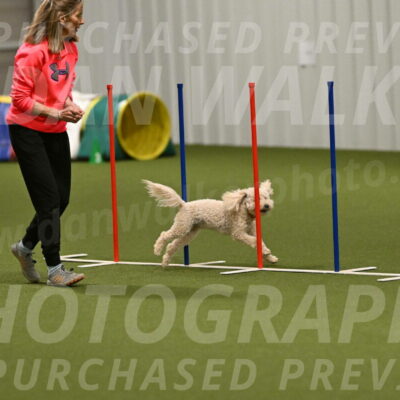 Charlie-Barbara-Thomas-05983