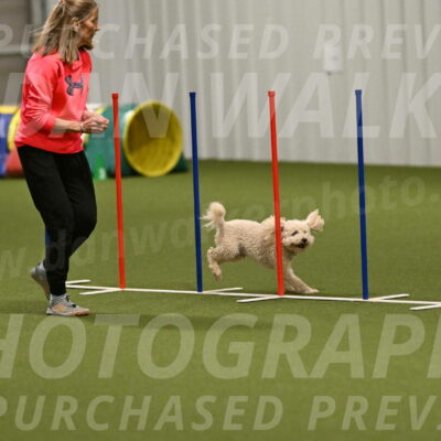 Charlie-Barbara-Thomas-05984