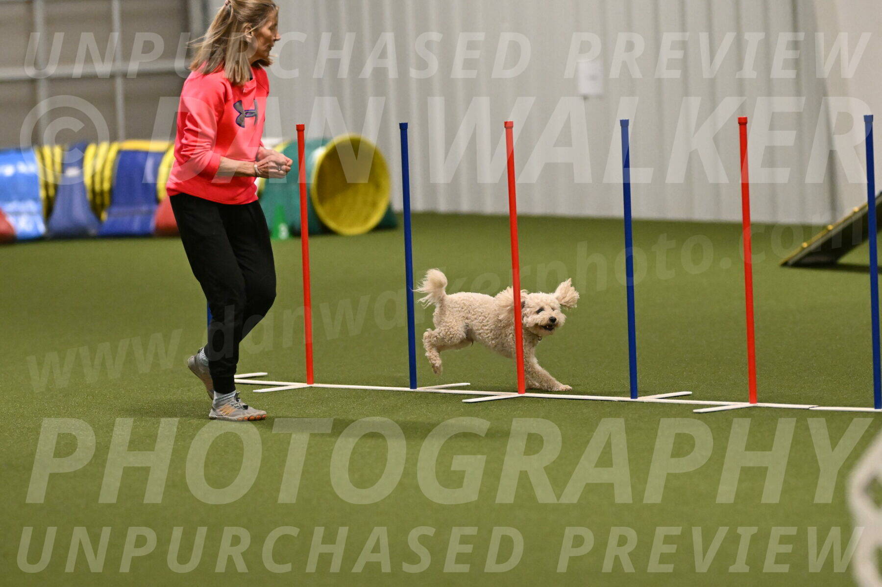 Charlie-Barbara-Thomas-05984