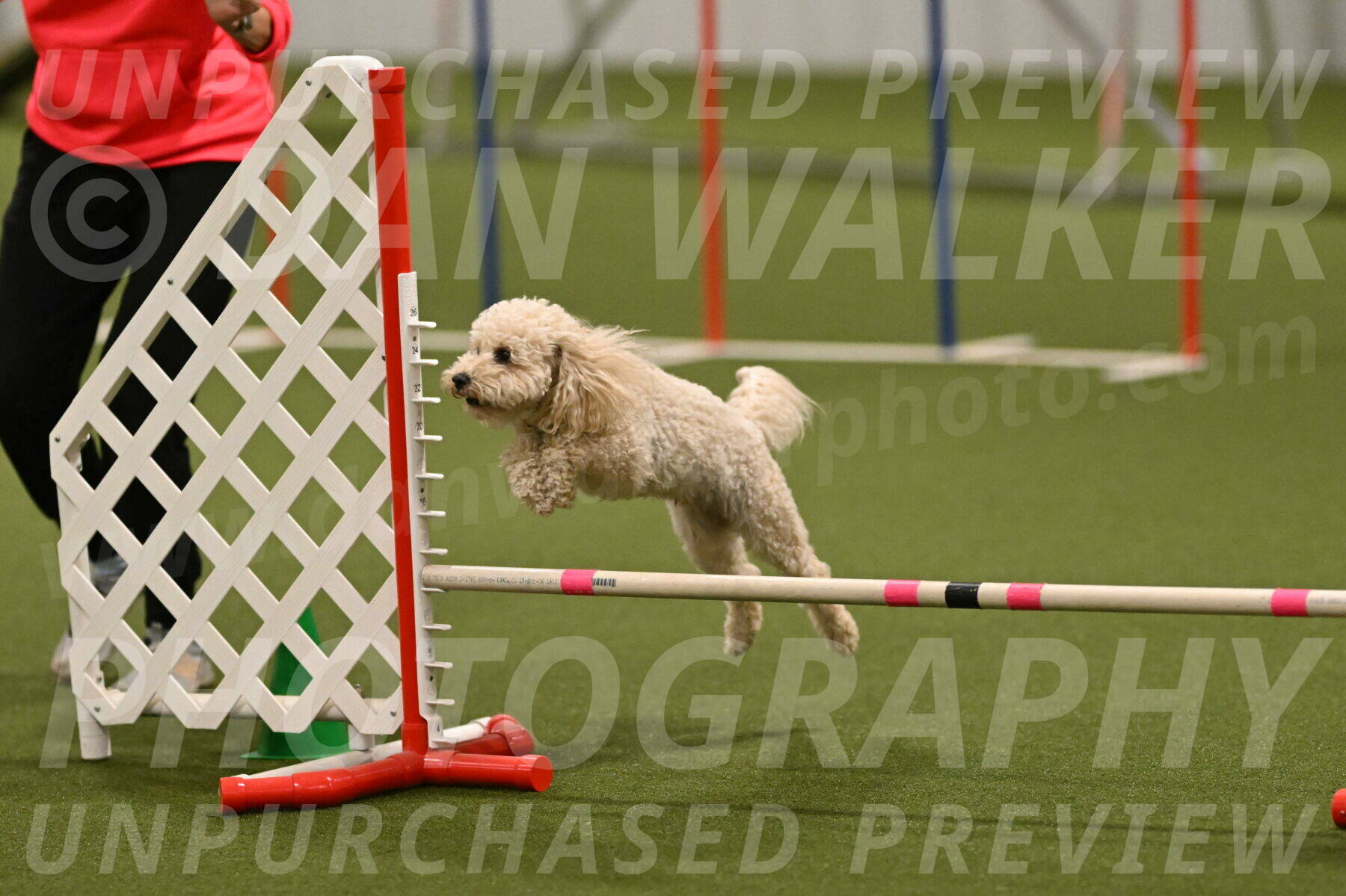 Charlie-Barbara-Thomas-05985