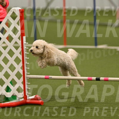 Charlie-Barbara-Thomas-05985