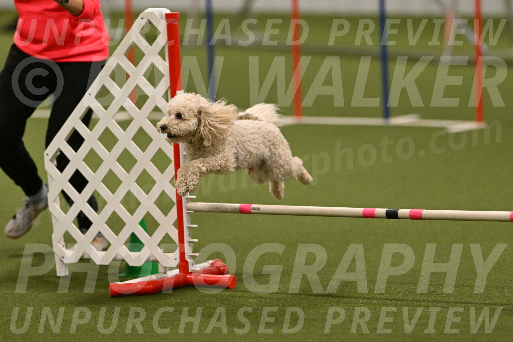 Charlie-Barbara-Thomas-05986