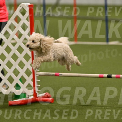 Charlie-Barbara-Thomas-05986