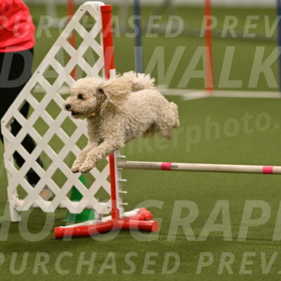 Charlie-Barbara-Thomas-05987