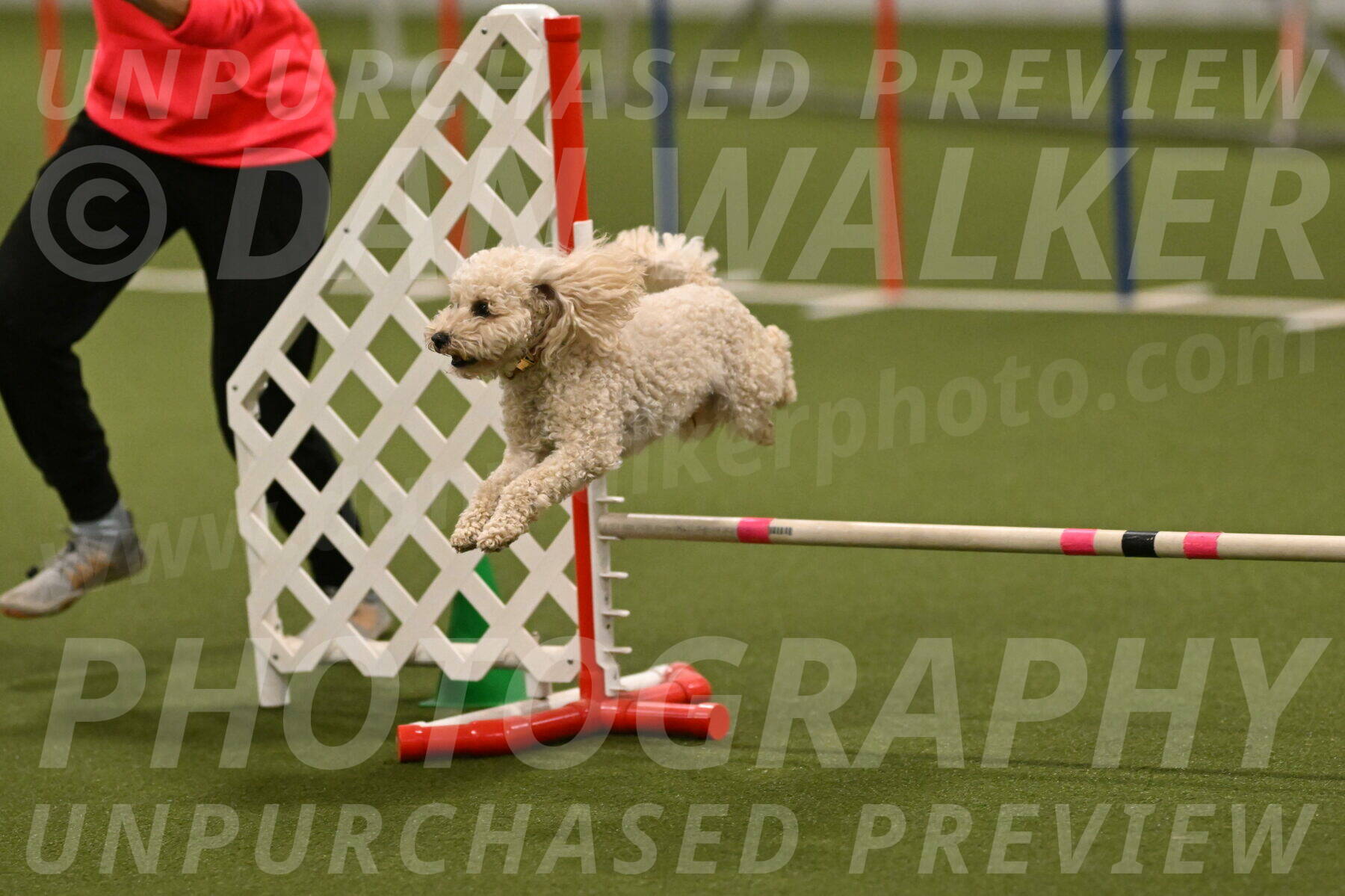 Charlie-Barbara-Thomas-05987