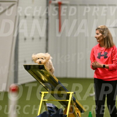 Charlie-Barbara-Thomas-05988