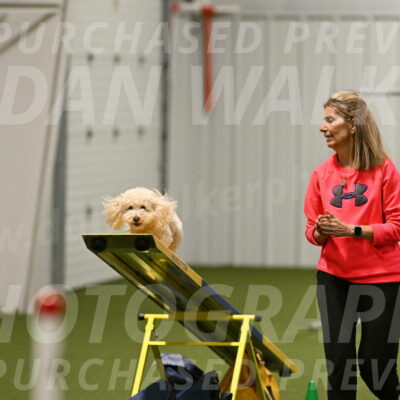 Charlie-Barbara-Thomas-05989