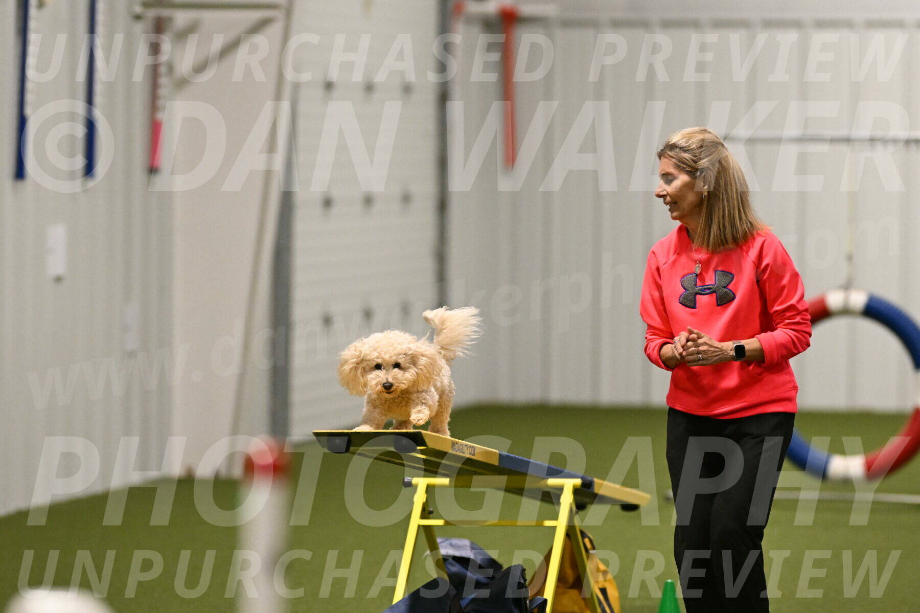 Charlie-Barbara-Thomas-05991