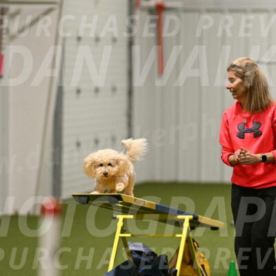 Charlie-Barbara-Thomas-05991