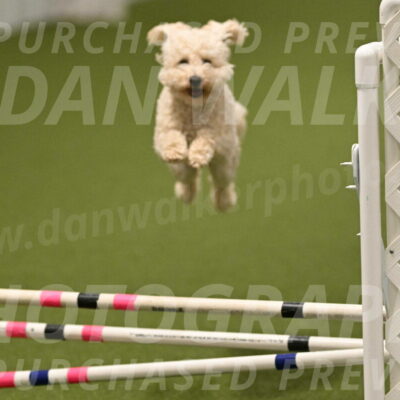 Charlie-Barbara-Thomas-05992