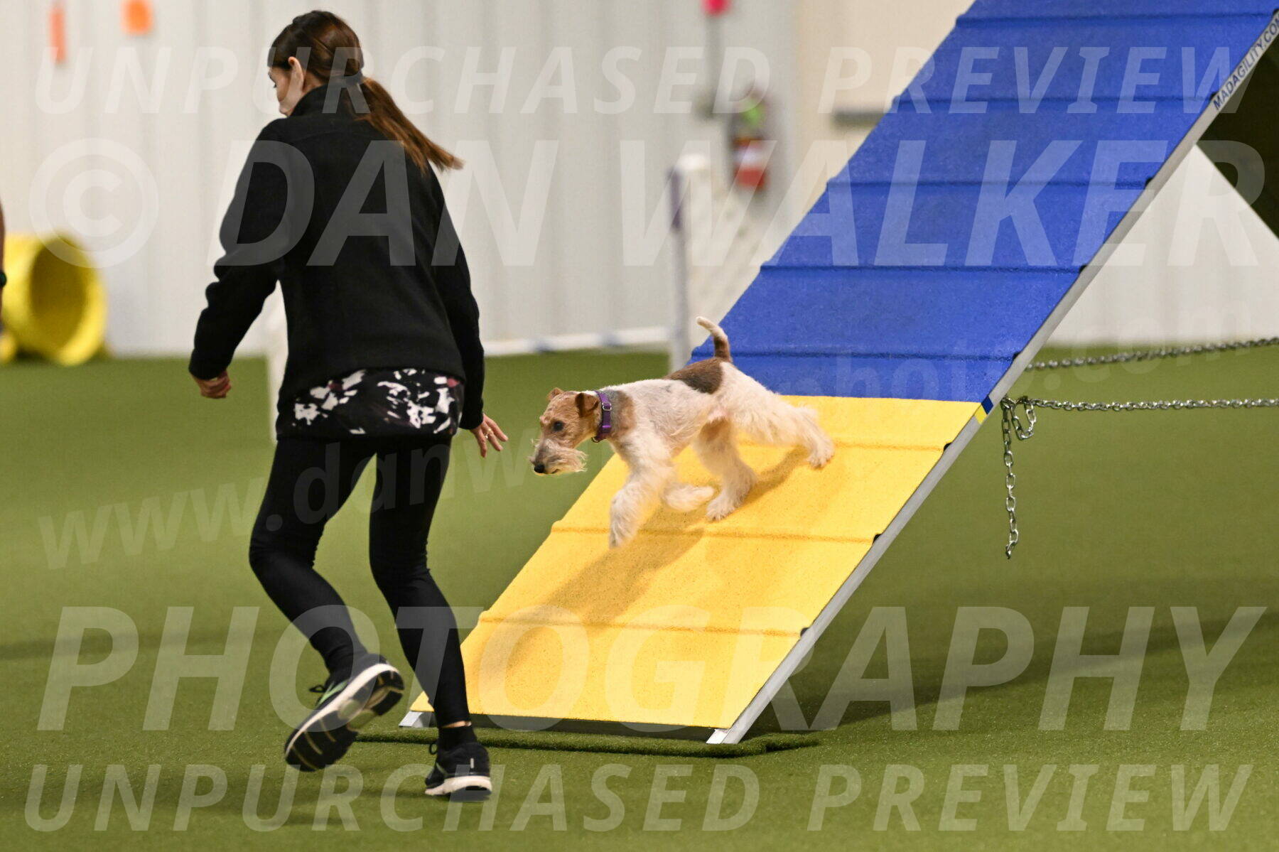 Charlotte-Kathryn-Vretas-12842