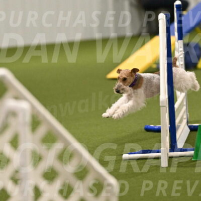 Charlotte-Kathryn-Vretas-12843