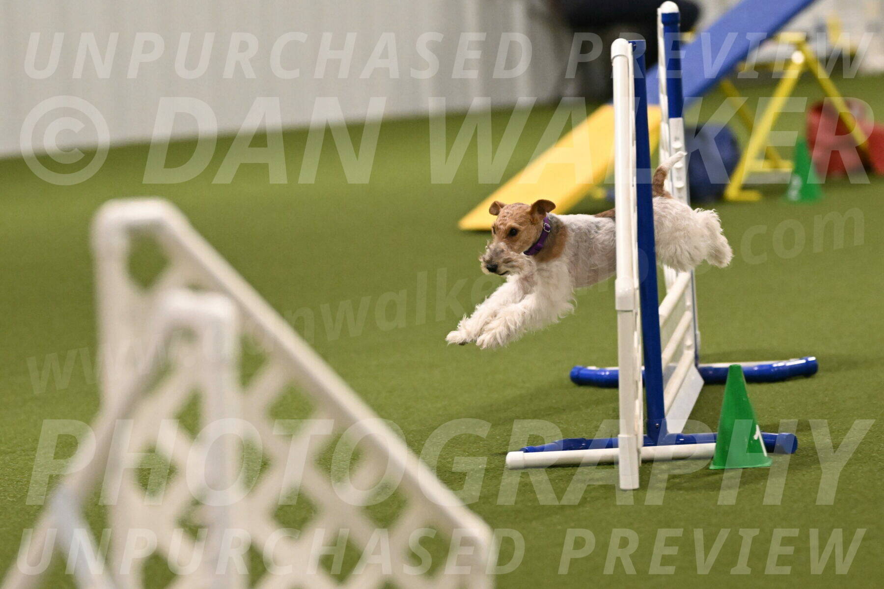 Charlotte-Kathryn-Vretas-12843