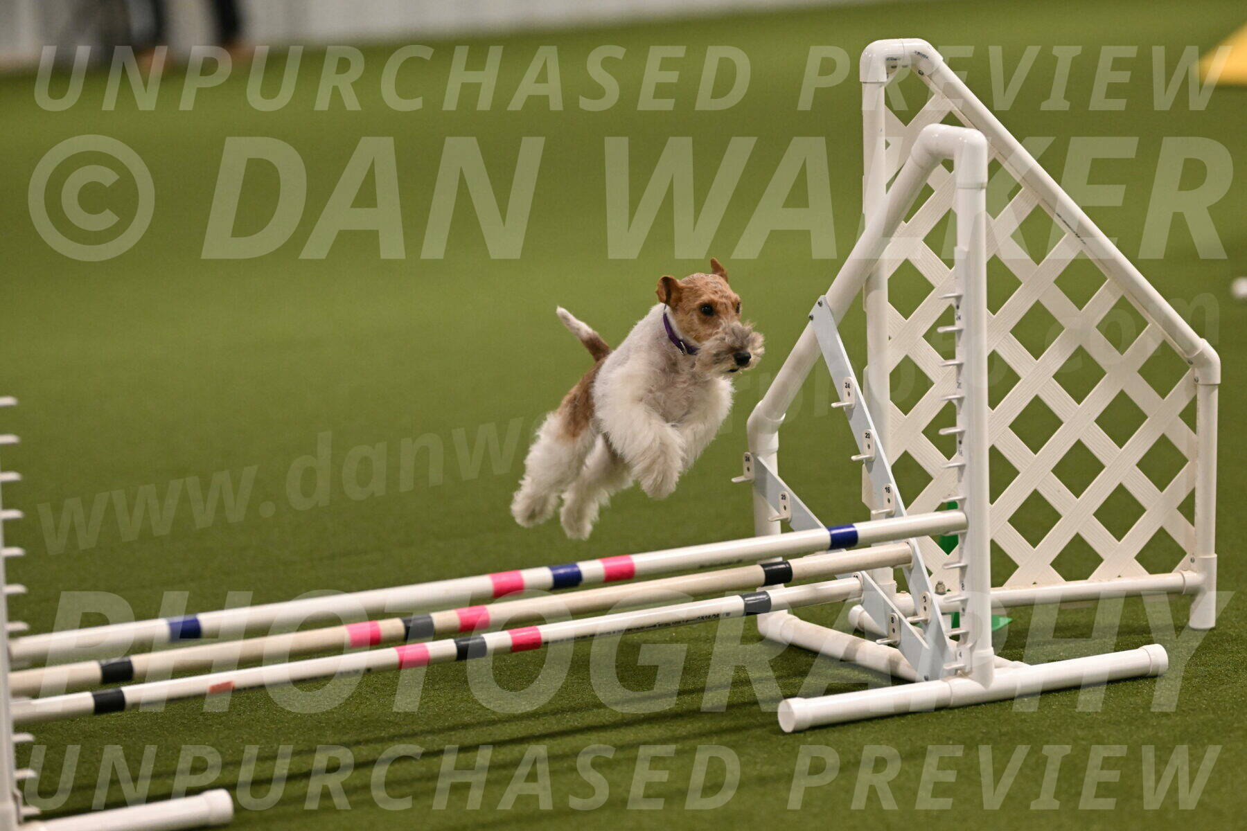 Charlotte-Kathryn-Vretas-12844