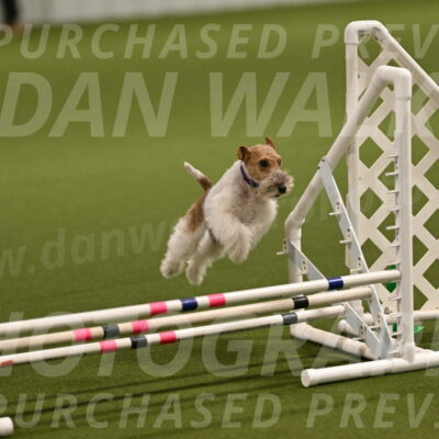 Charlotte-Kathryn-Vretas-12844