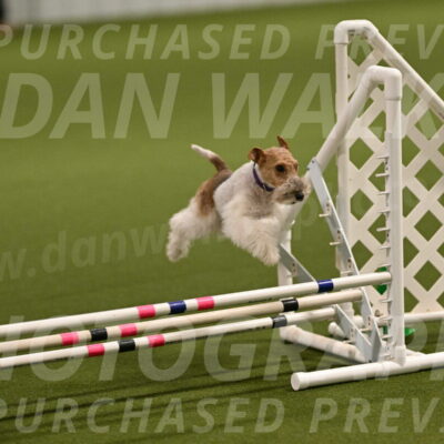 Charlotte-Kathryn-Vretas-12845