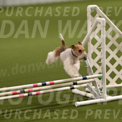 Charlotte-Kathryn-Vretas-12846