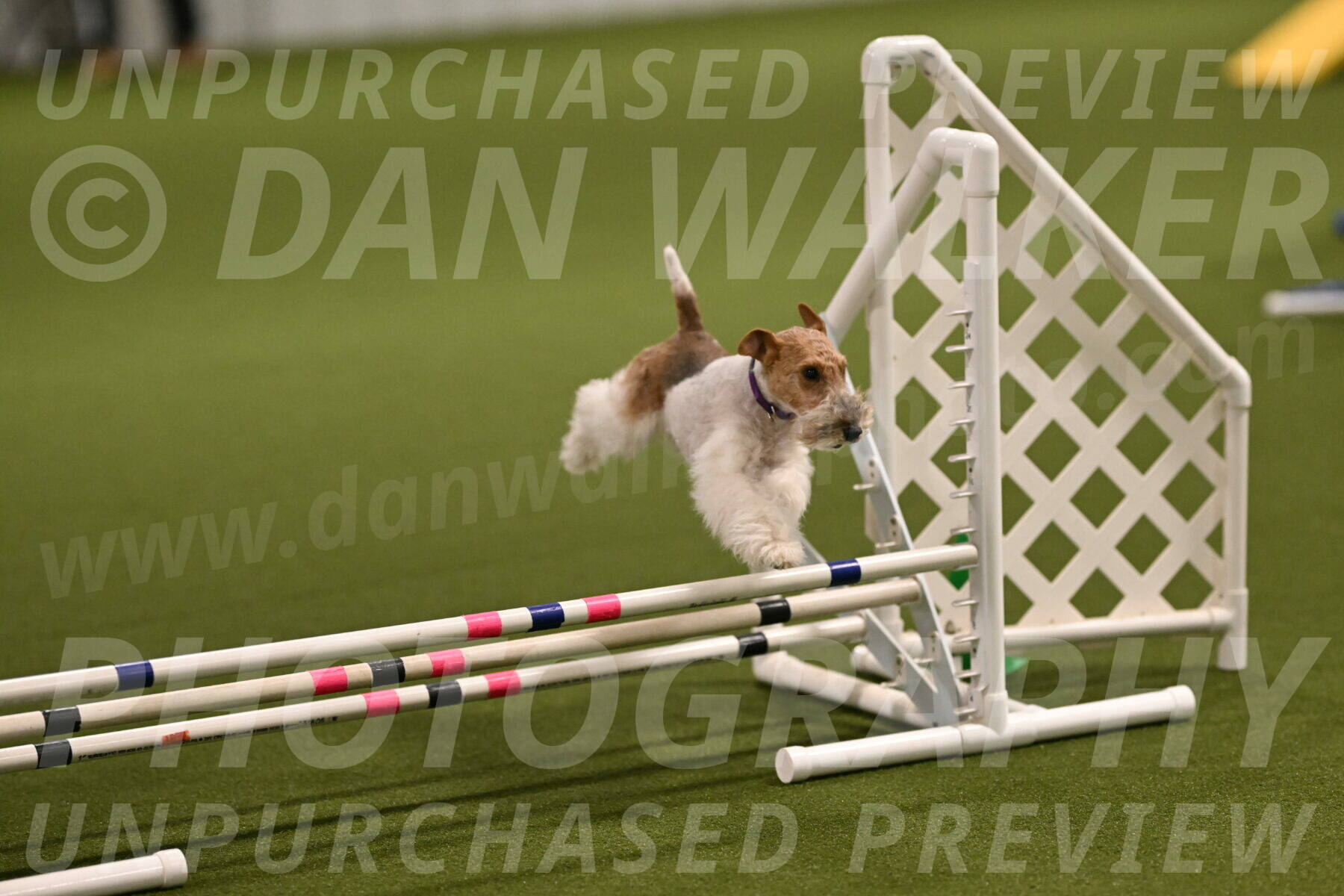 Charlotte-Kathryn-Vretas-12846