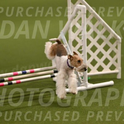 Charlotte-Kathryn-Vretas-12847