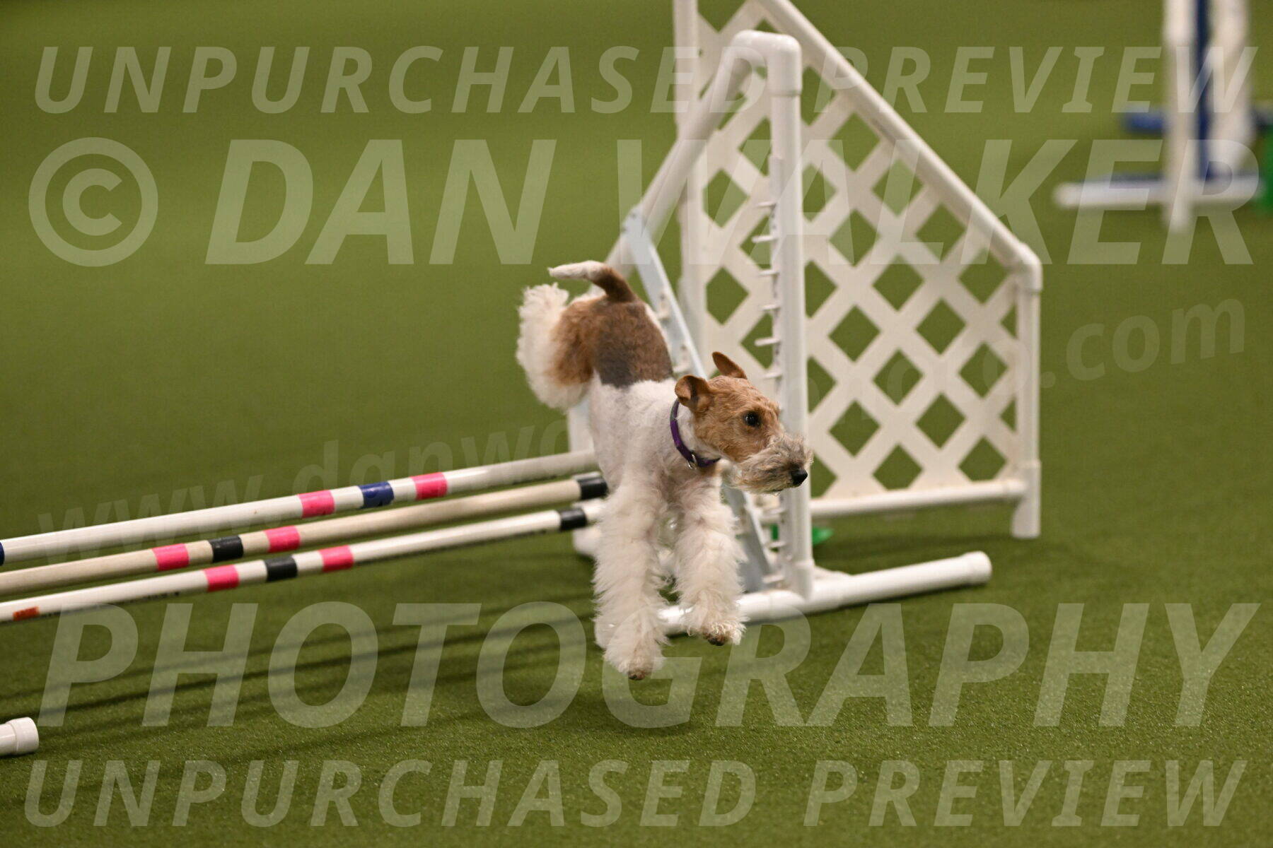 Charlotte-Kathryn-Vretas-12847