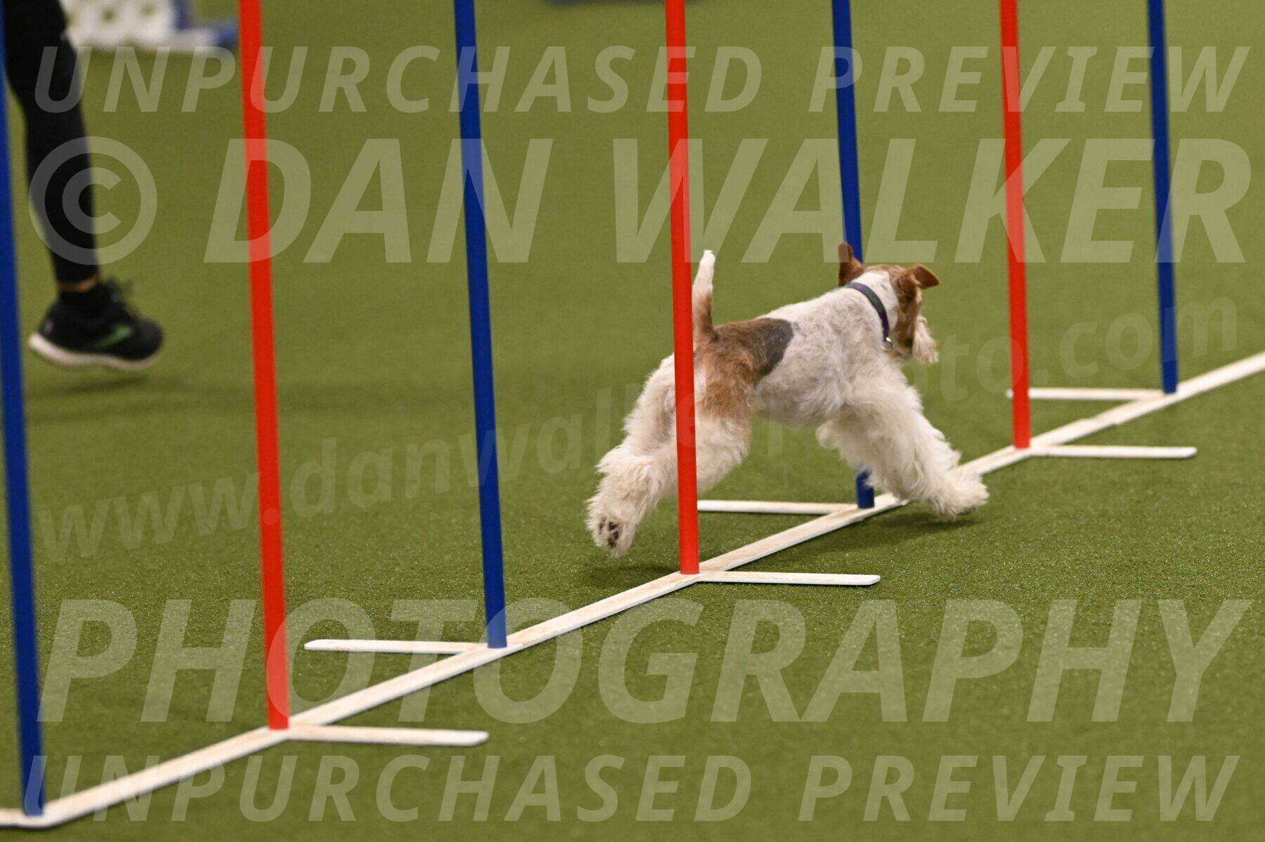 Charlotte-Kathryn-Vretas-12848