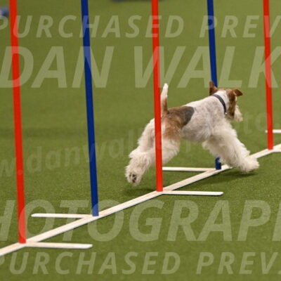 Charlotte-Kathryn-Vretas-12848