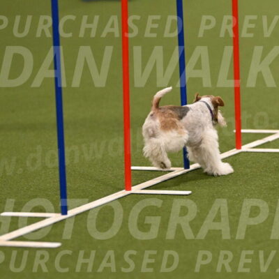 Charlotte-Kathryn-Vretas-12849