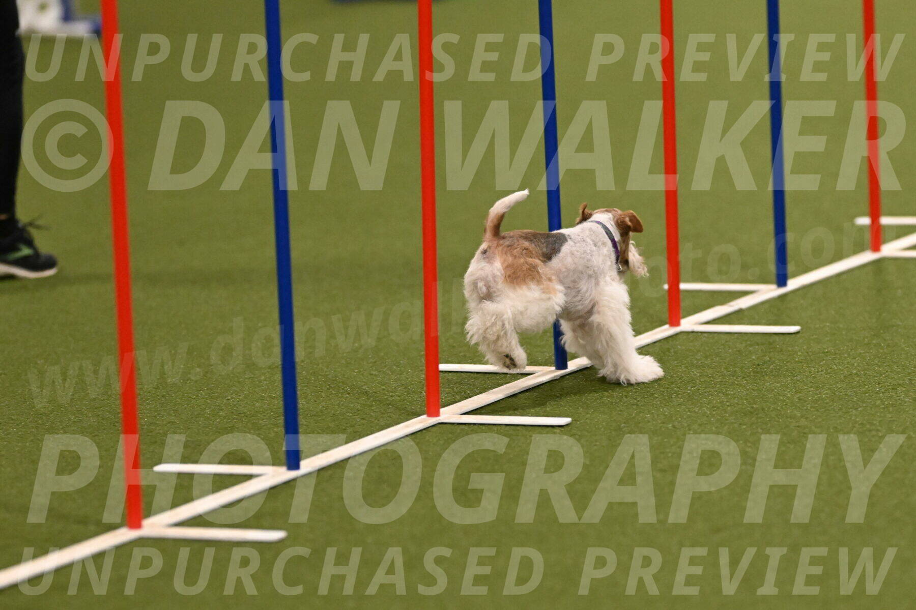 Charlotte-Kathryn-Vretas-12849