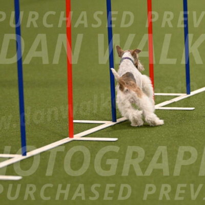 Charlotte-Kathryn-Vretas-12850