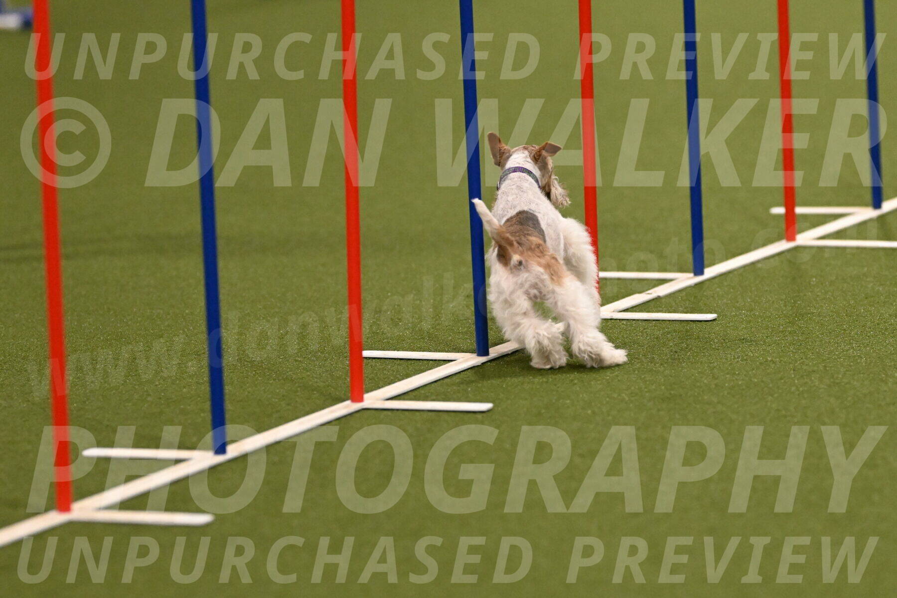 Charlotte-Kathryn-Vretas-12850