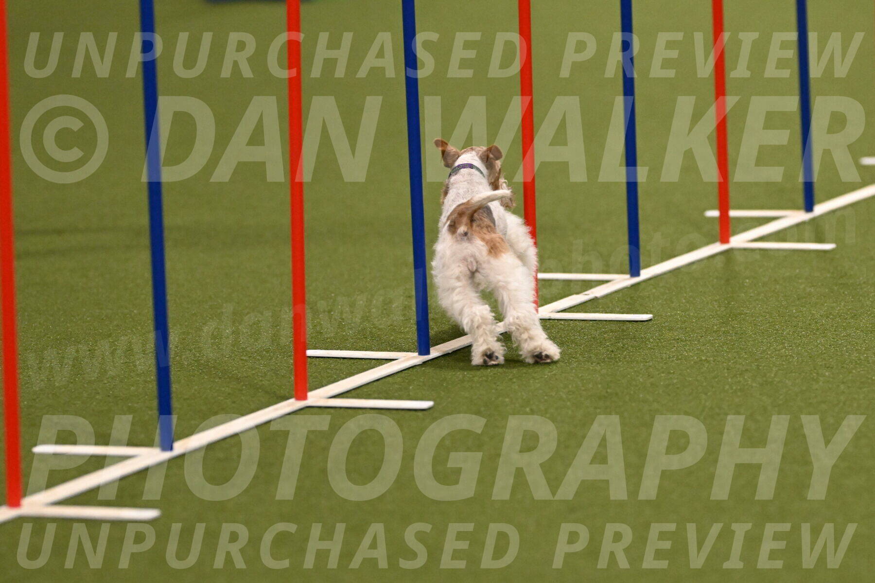 Charlotte-Kathryn-Vretas-12851