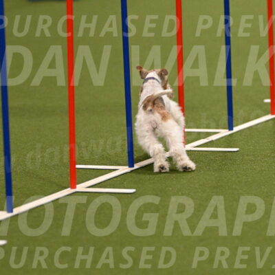 Charlotte-Kathryn-Vretas-12851