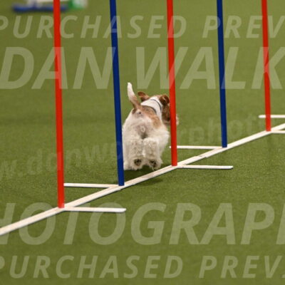 Charlotte-Kathryn-Vretas-12852