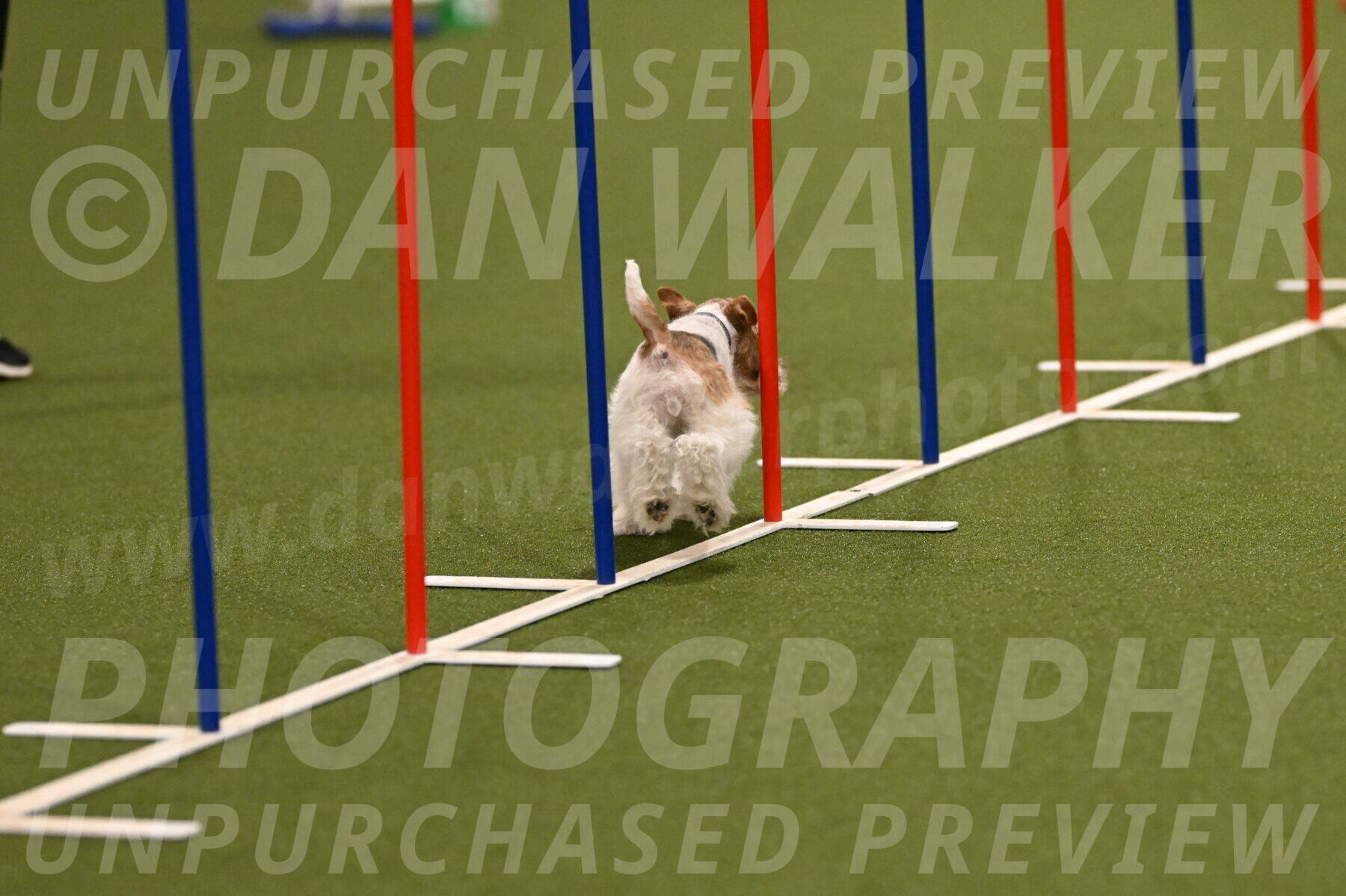 Charlotte-Kathryn-Vretas-12852